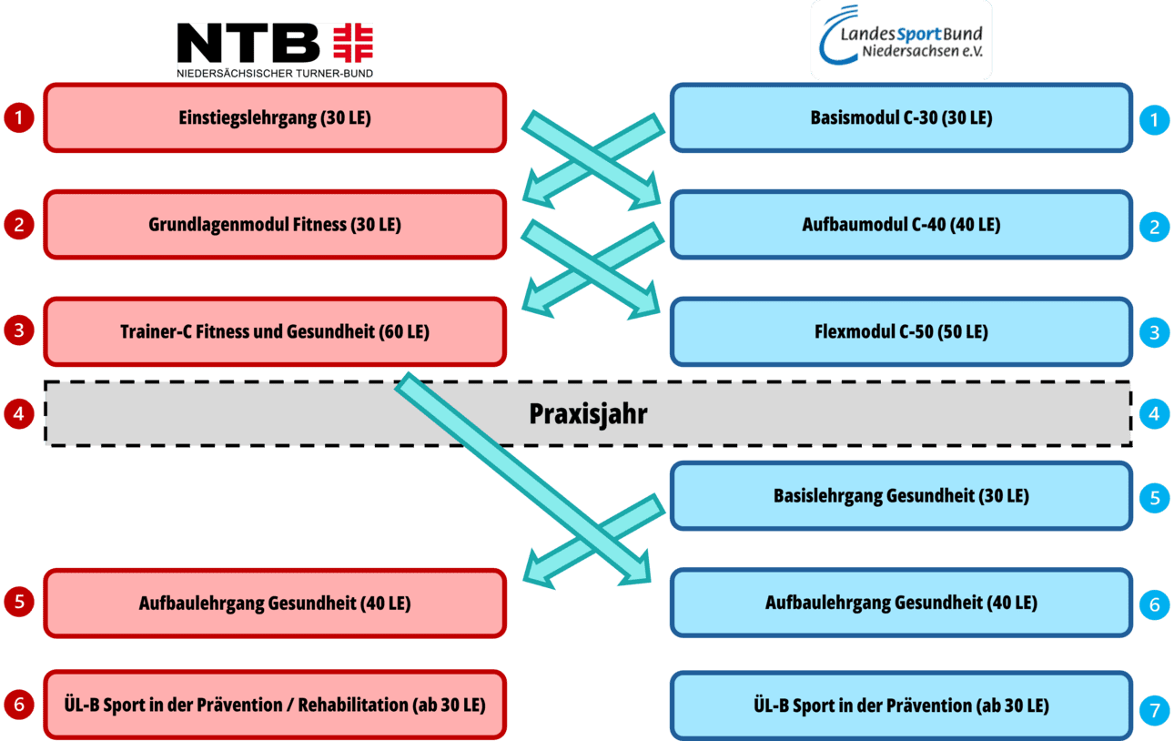 Grafik mit Ausbildungsmodulen im Bereich Fitness und Gesundheit, aufgeteilt in verschiedene Module und Praxisjahr.