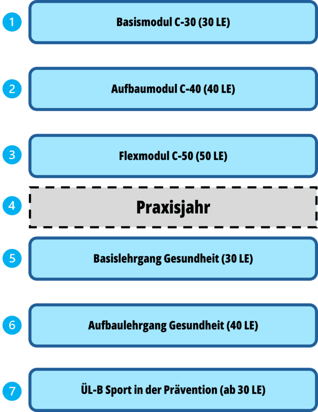 Grafik mit Modulen und Lehrg&auml;ngen f&uuml;r eine Ausbildung, darunter Basis- und Aufbaukurse sowie ein Praxisjahr.