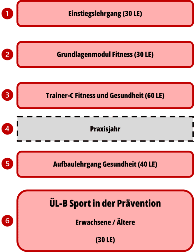 &Uuml;bersicht eines Ausbildungsplans mit verschiedenen Kursen im Bereich Fitness und Gesundheit, jeweils mit Lehrgangsgr&ouml;&szlig;e.