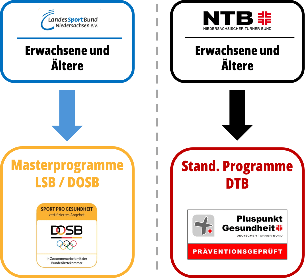 Infografik mit Logos von Sportverbänden und Programmen in Niedersachsen, sowie Verbindungen zwischen Master- und Standprogrammen.