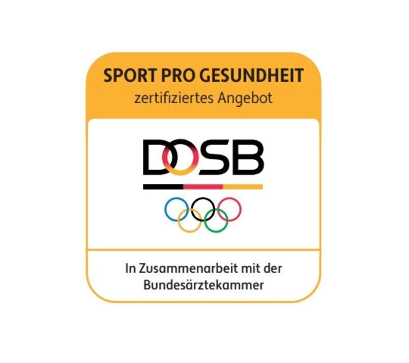 Logo des Programms „Sport pro Gesundheit“ mit dem DOSB-Logo und den olympischen Ringen. Text in gelbem Feld.
