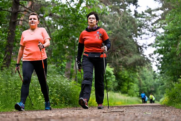 Zwei Frauen gehen mit Nordic-Walking-Stöcken auf einem Waldweg, umgeben von Bäumen und grüner Vegetation.